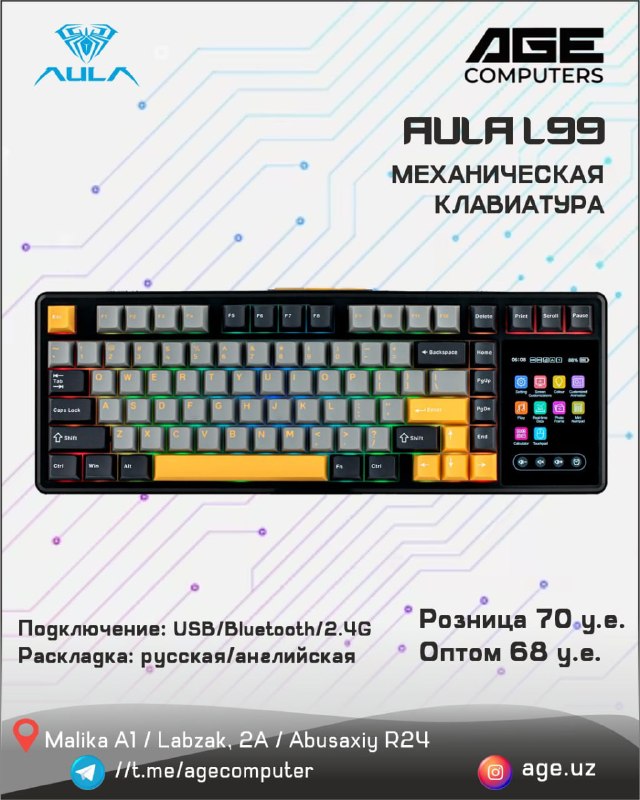 AULA L99