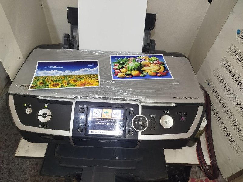 Epson Epson R390