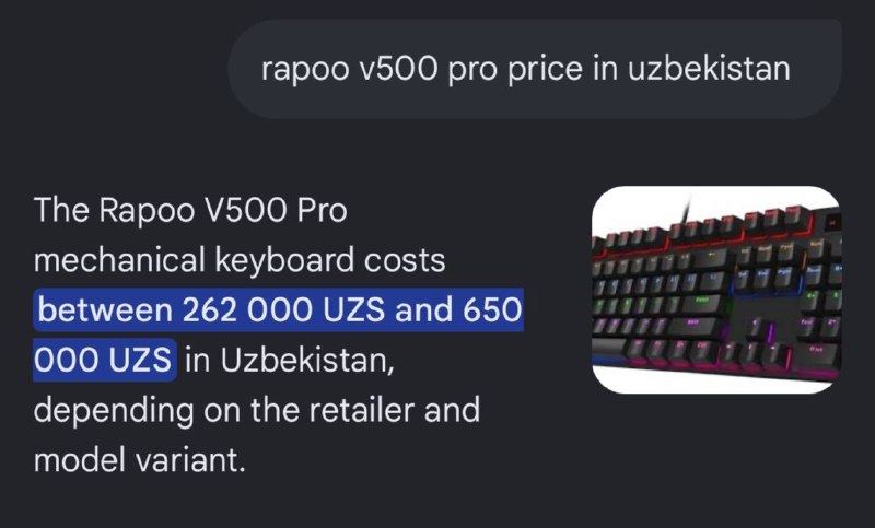 RAPOO V500 PRO